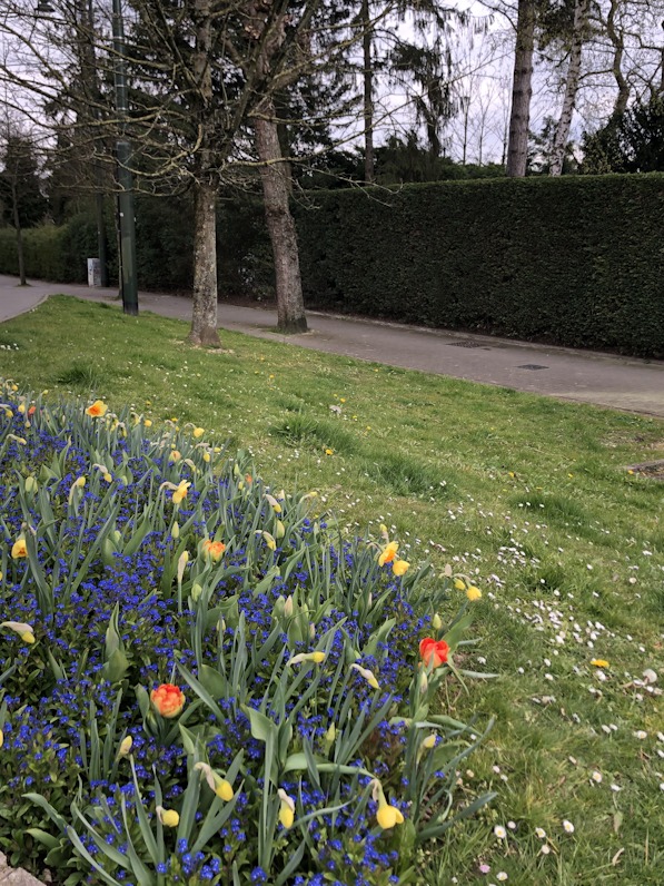 biodiversite rue bruxelles