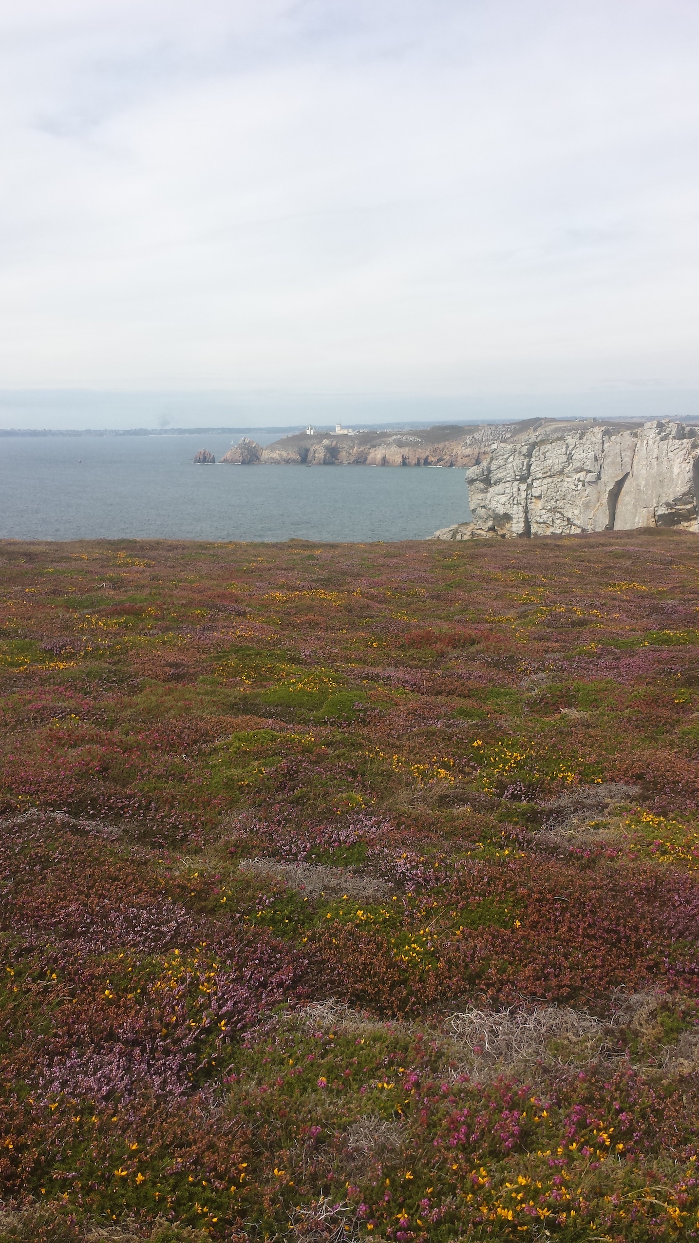 Zone littorale de la presqu'île de Crozon
