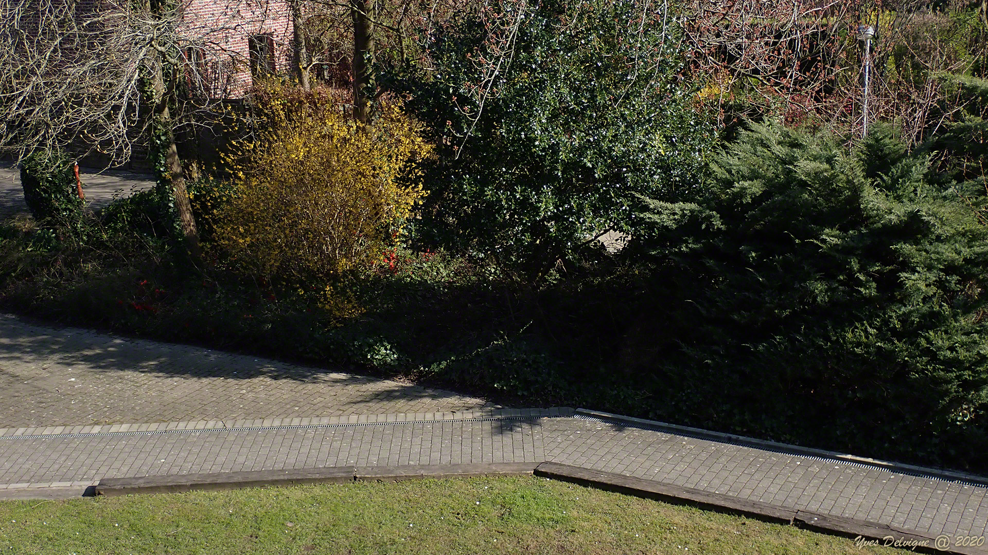 biodiversité devant mon balcon