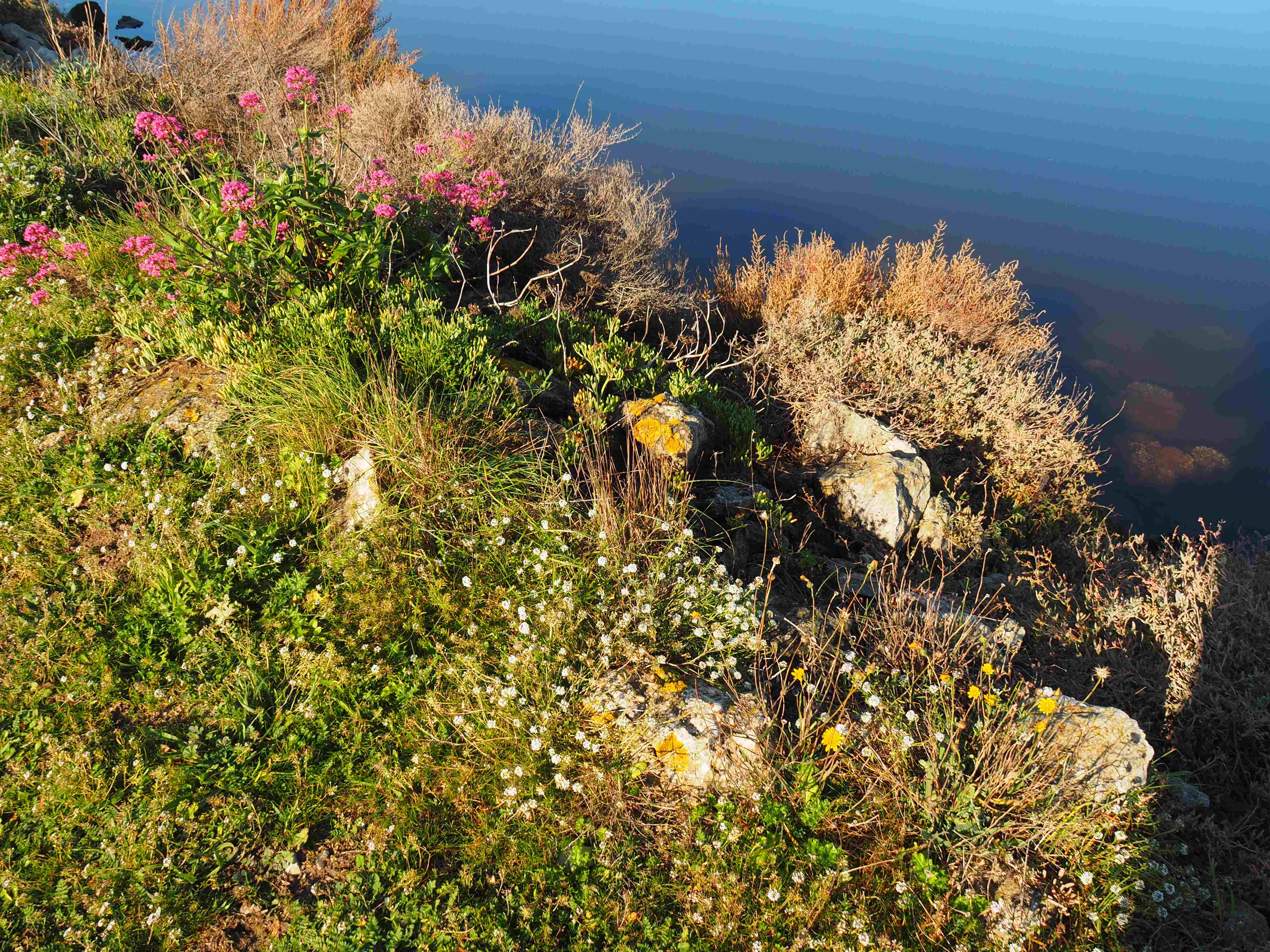 Etanf de Bolmon lespuns martigues