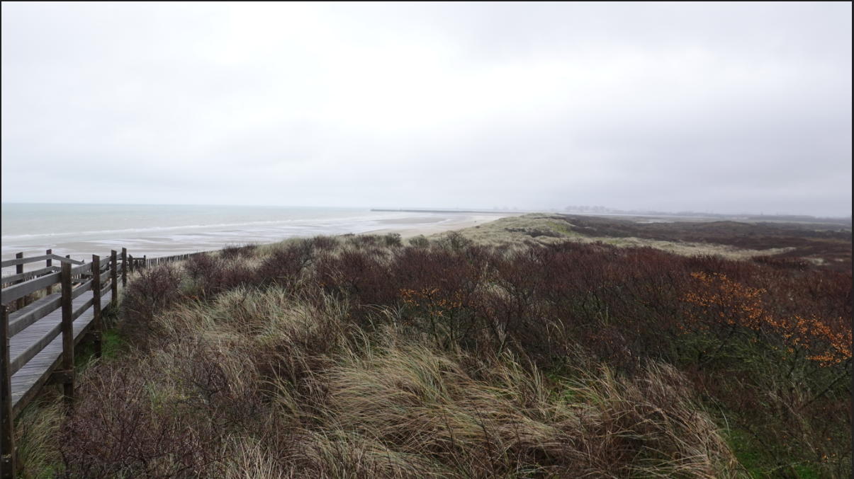 RN Platier d'Oye_02.02.2020_Charles CALVET