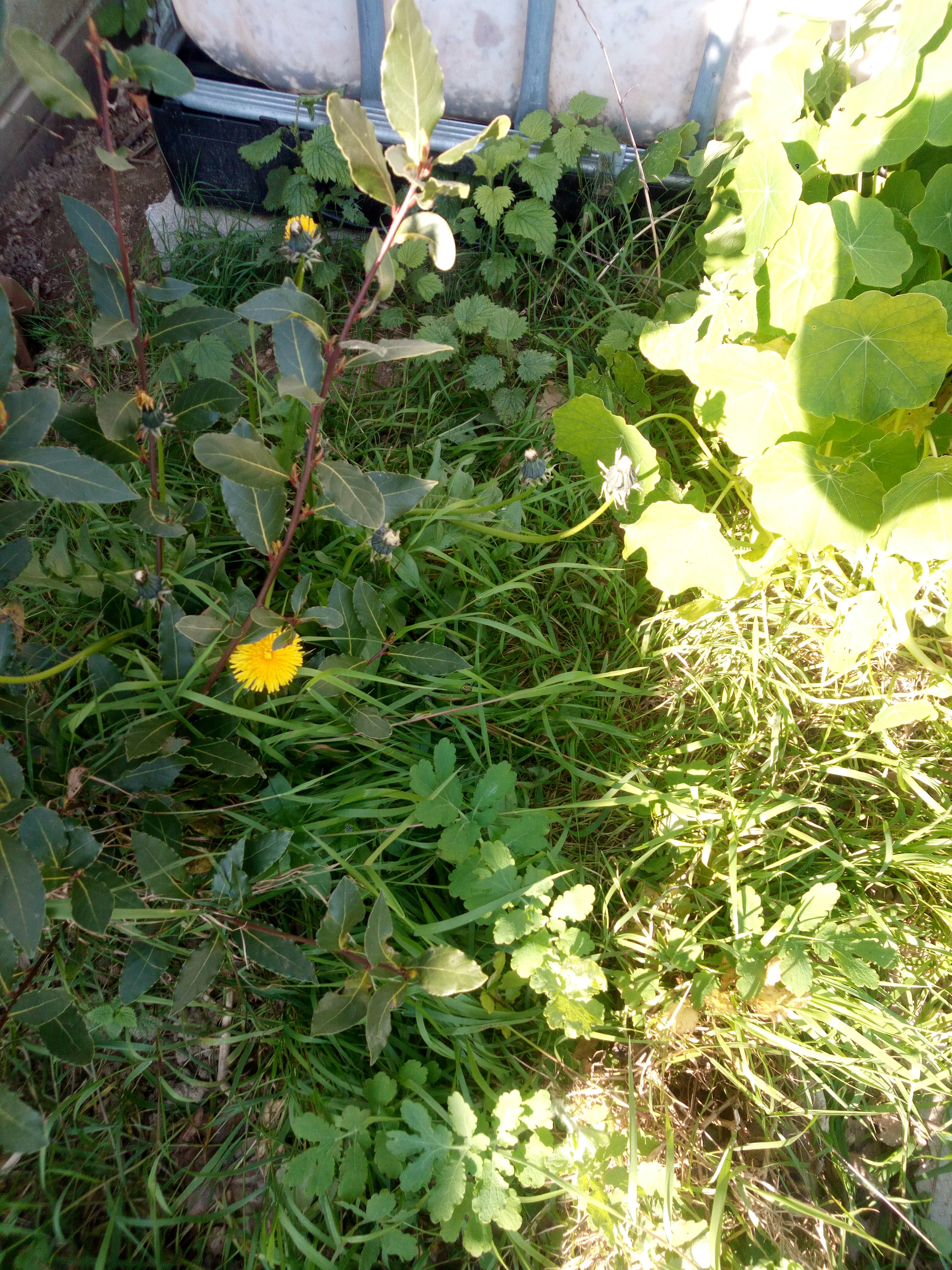 biodiversité nantes