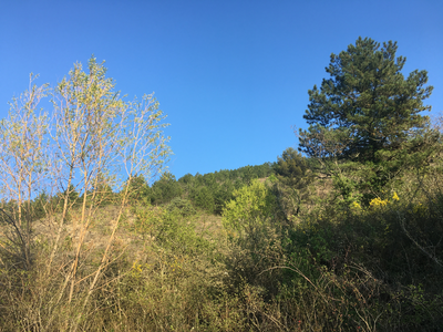 Diversité ardéchoise