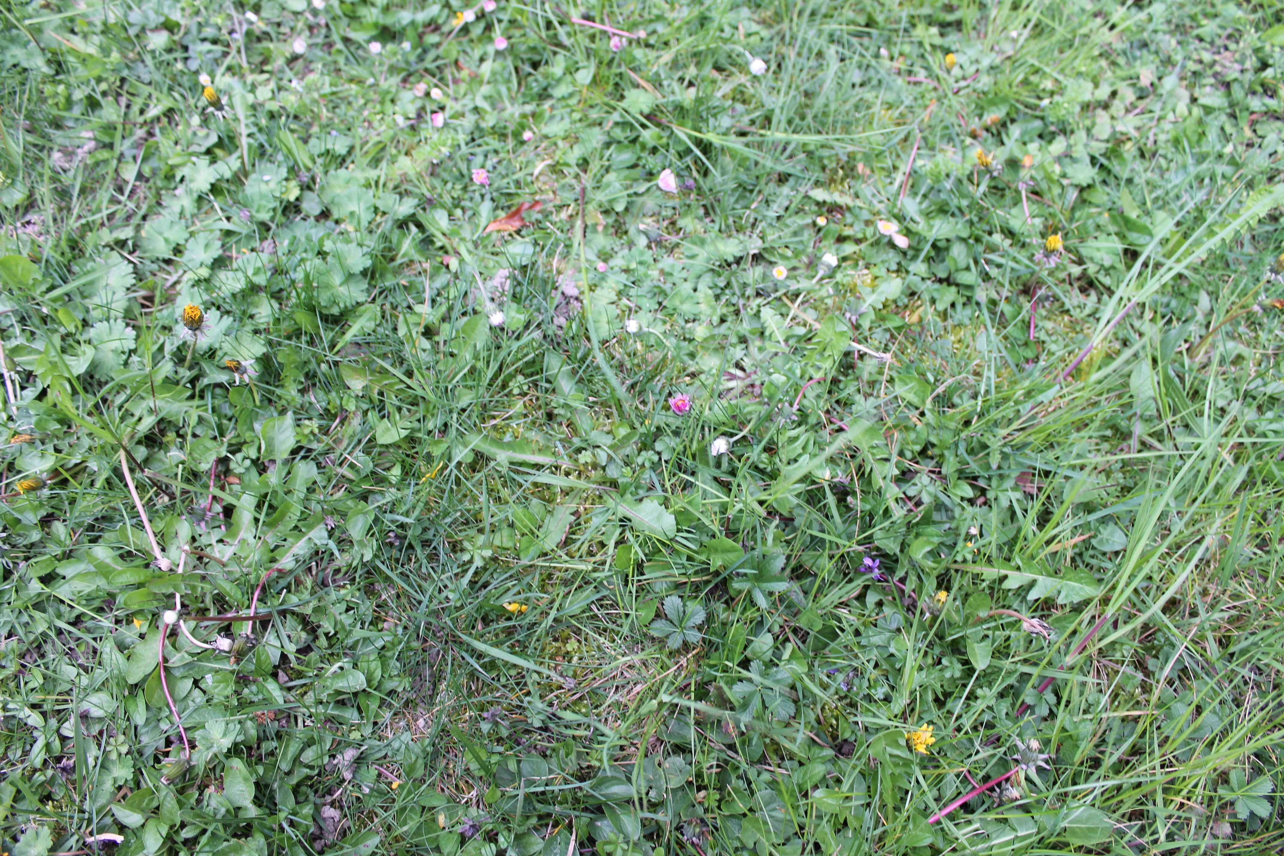 Parc d'une résidence urbaine