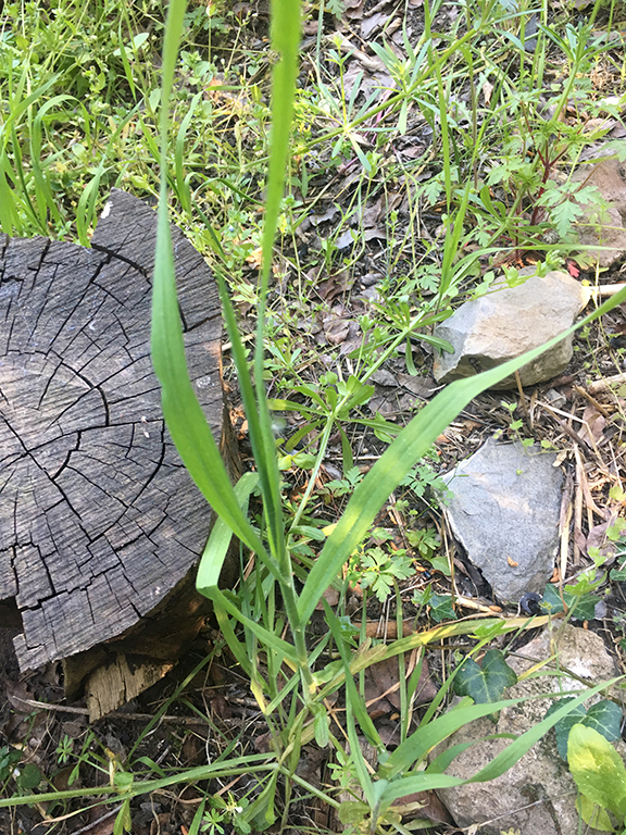 Jardin Aix en provence