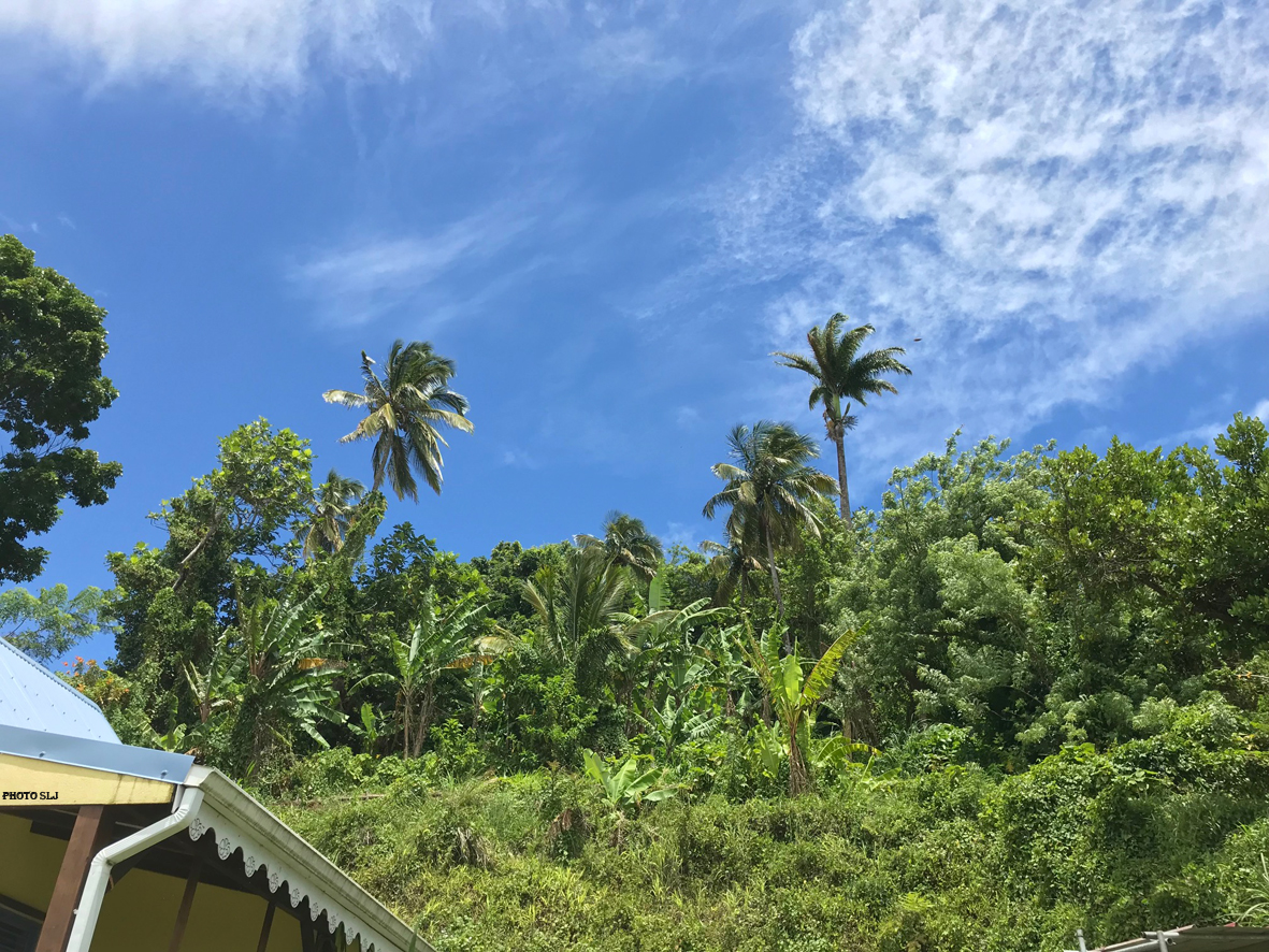 Paysage Martinique