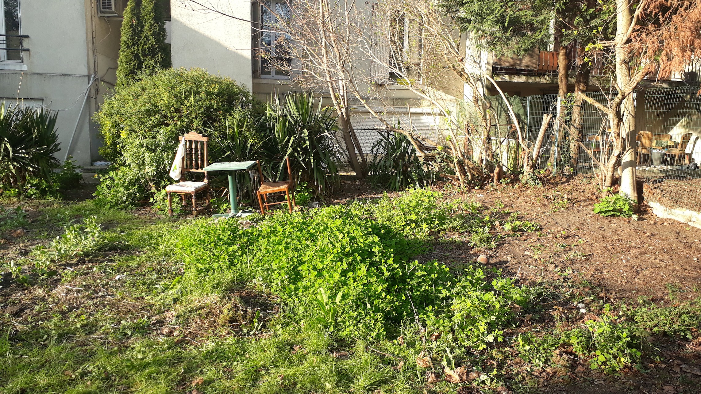 jardin à Montreuil (93)