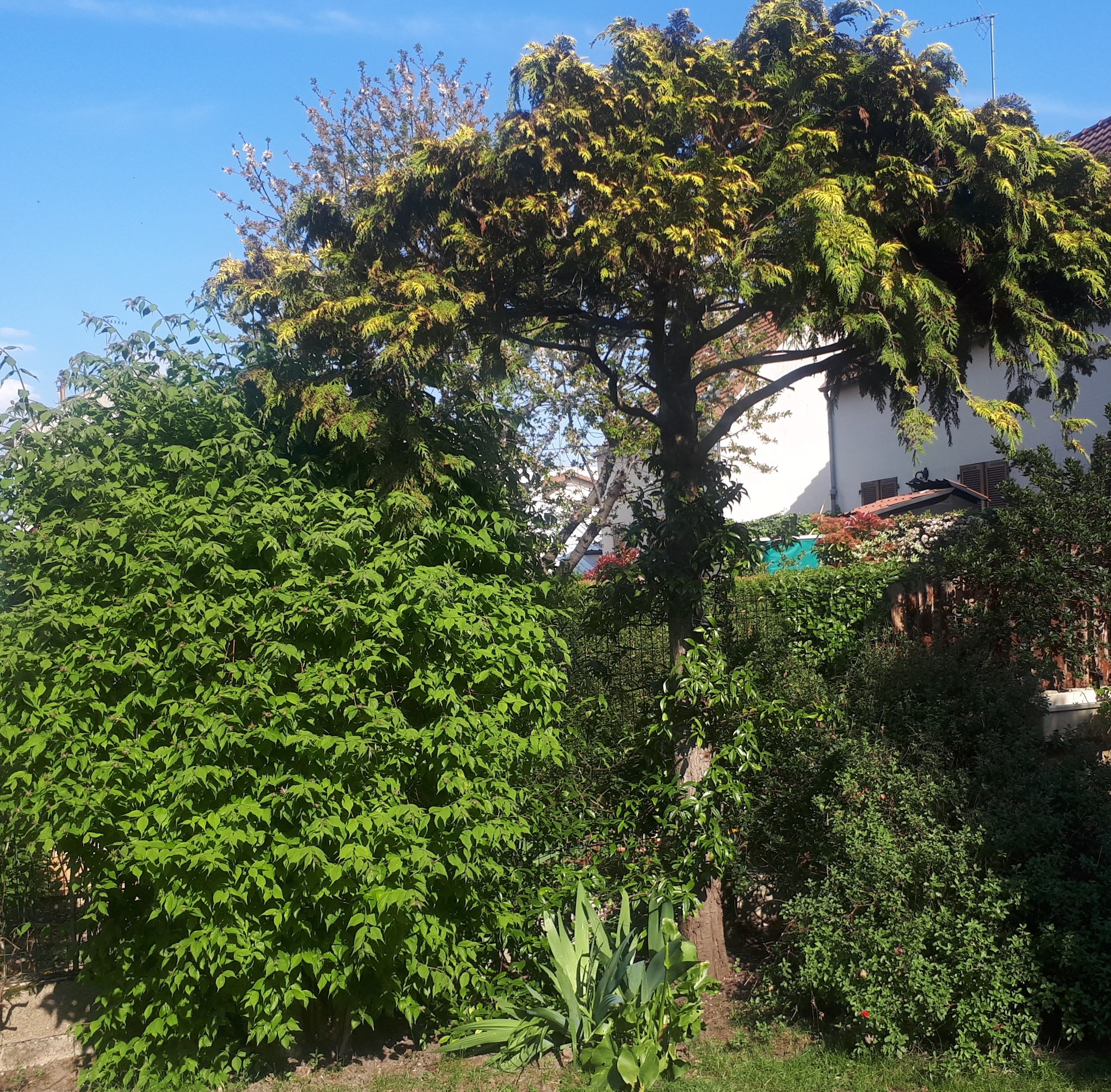 Biodiversité à Nanterre