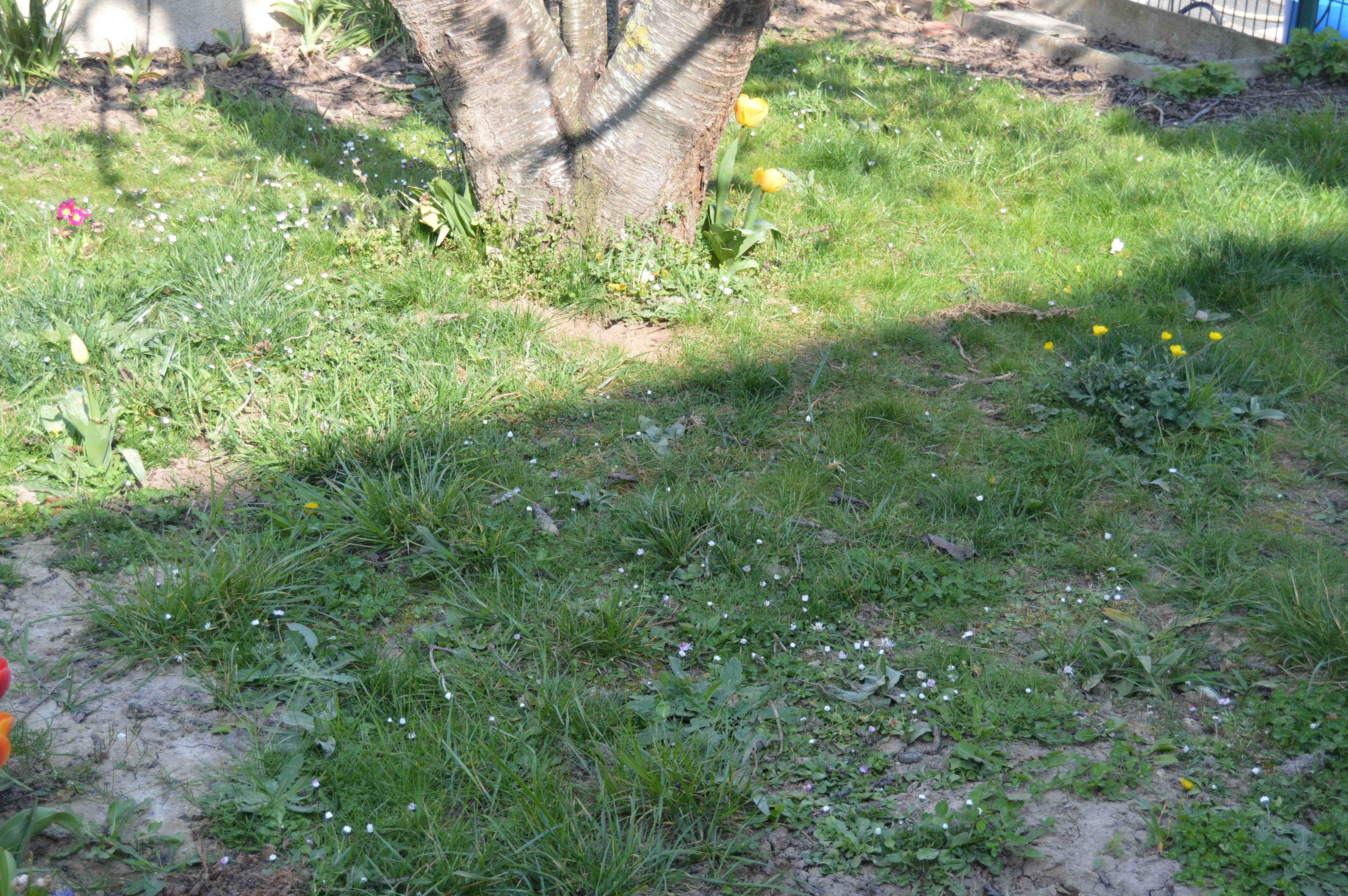 Photo biodiversité jardin