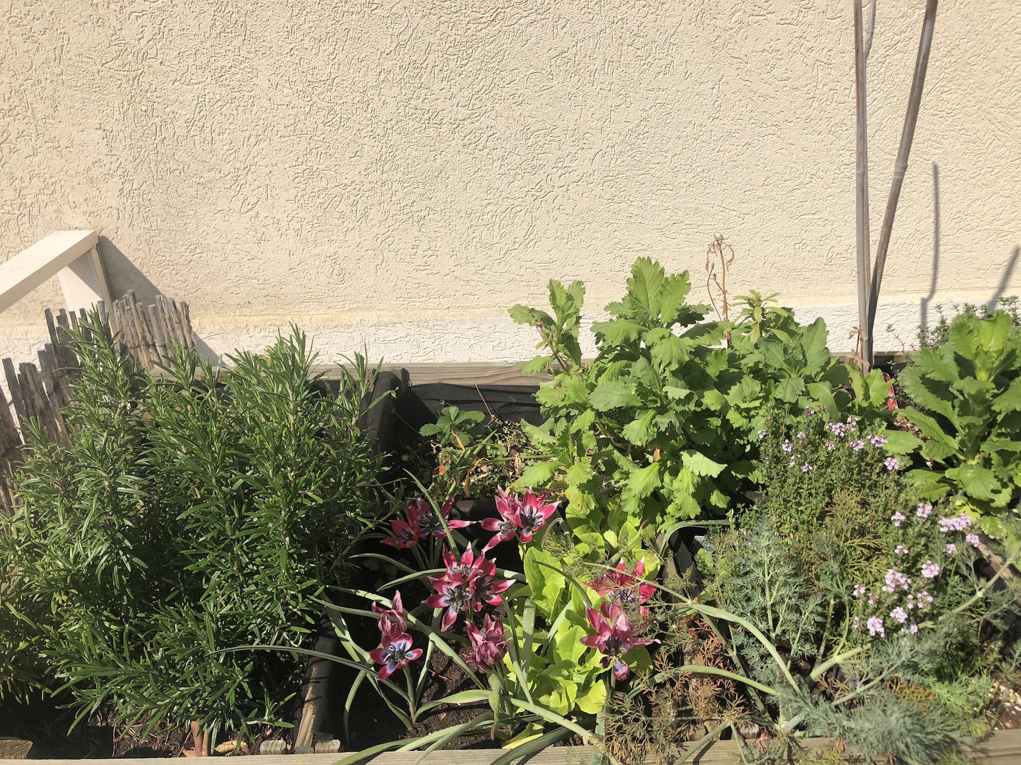 Balcon potager Boulogne Billancourt 92