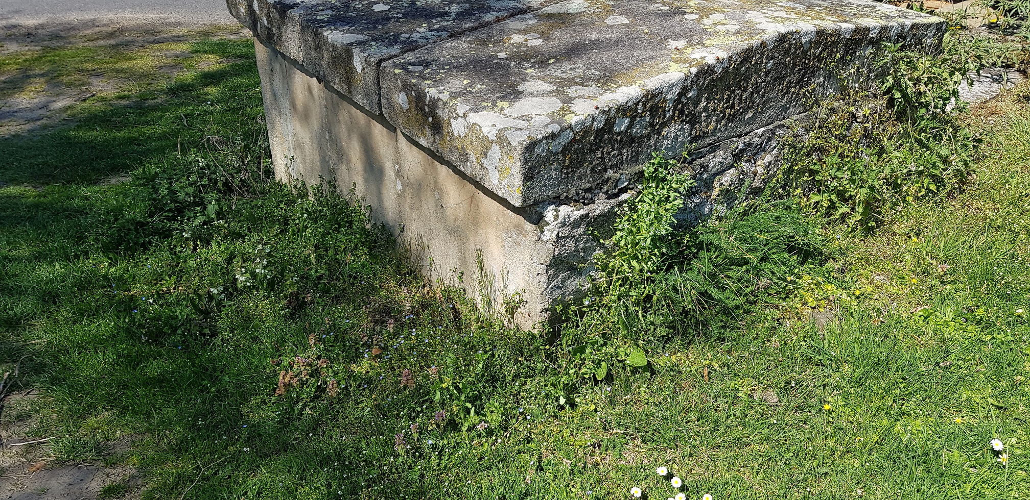 Biodiversité le long d'un puits