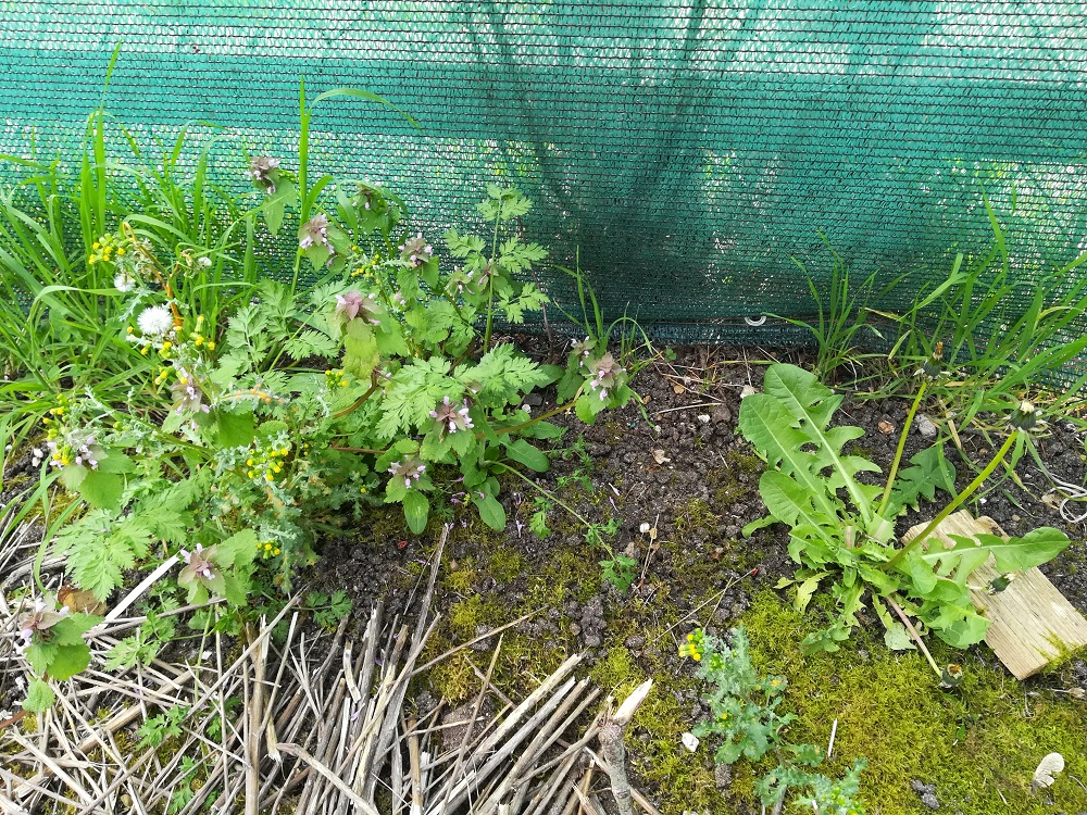Biodiversité Loir et Cher 2