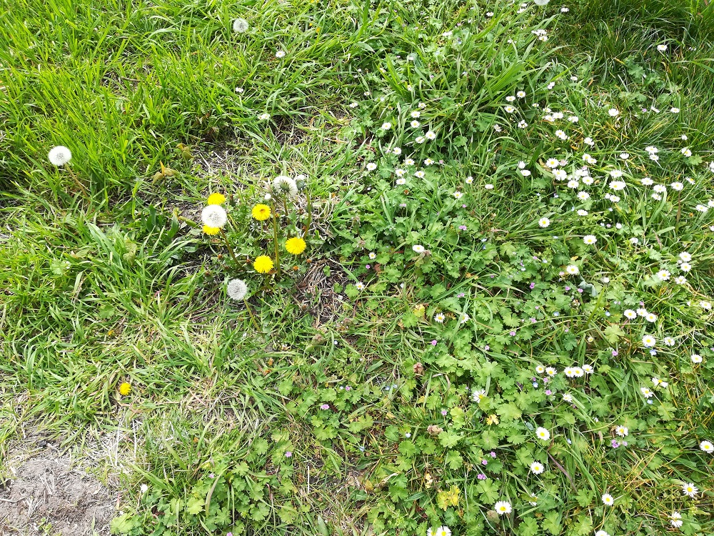 Biodiversité Loir et Cher