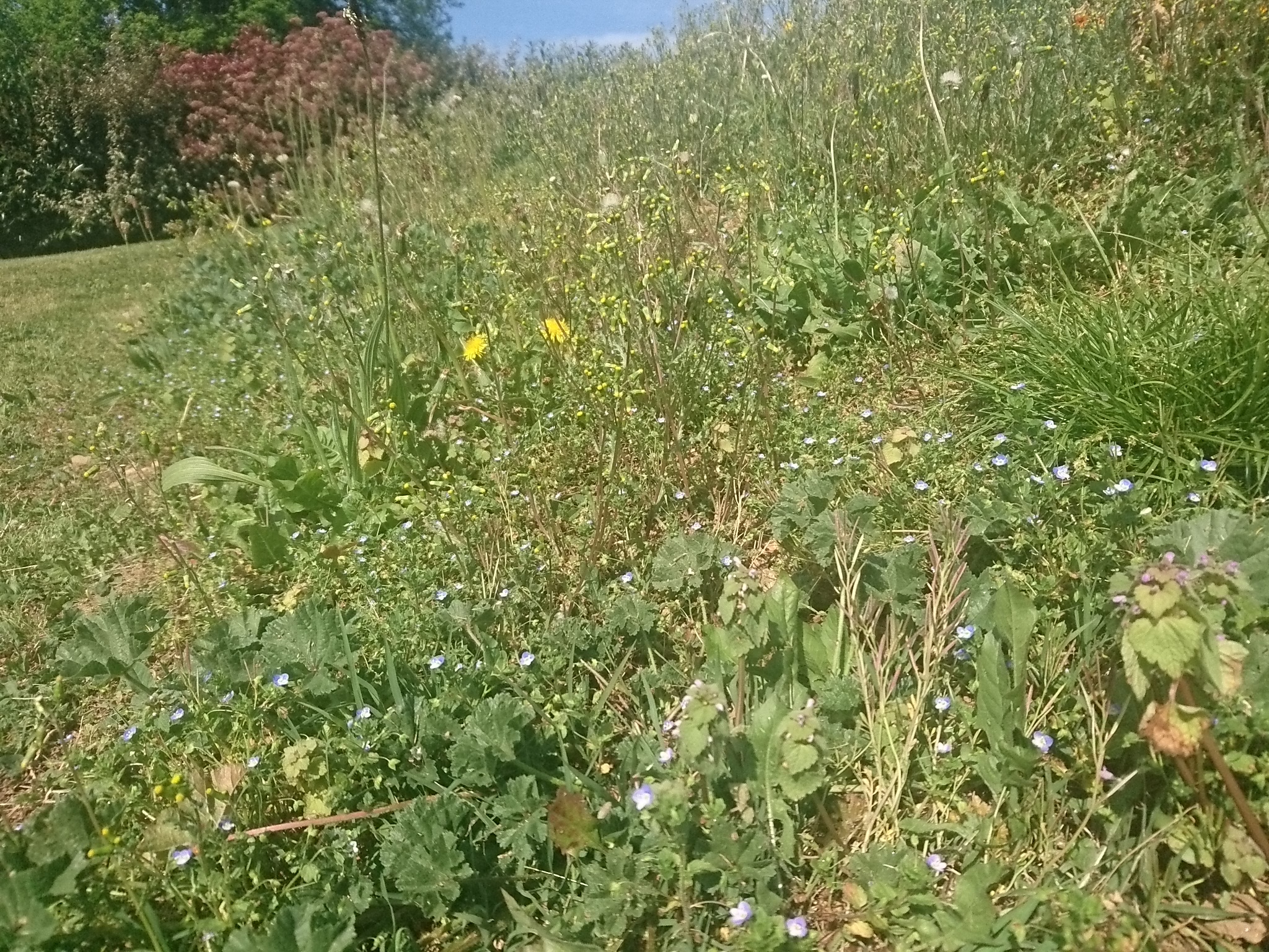 Biodiversité Flagnac