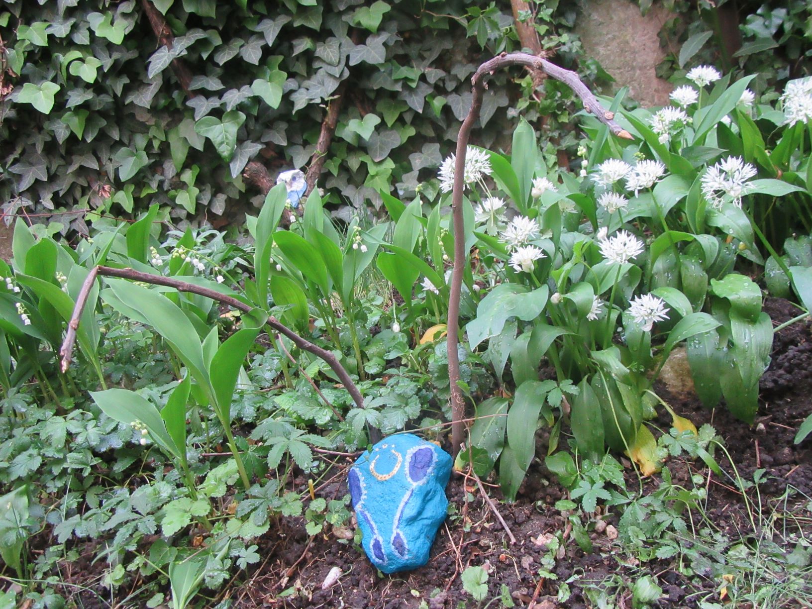 Biodiversité (muguet, ail des ours, lierre, laurier...)