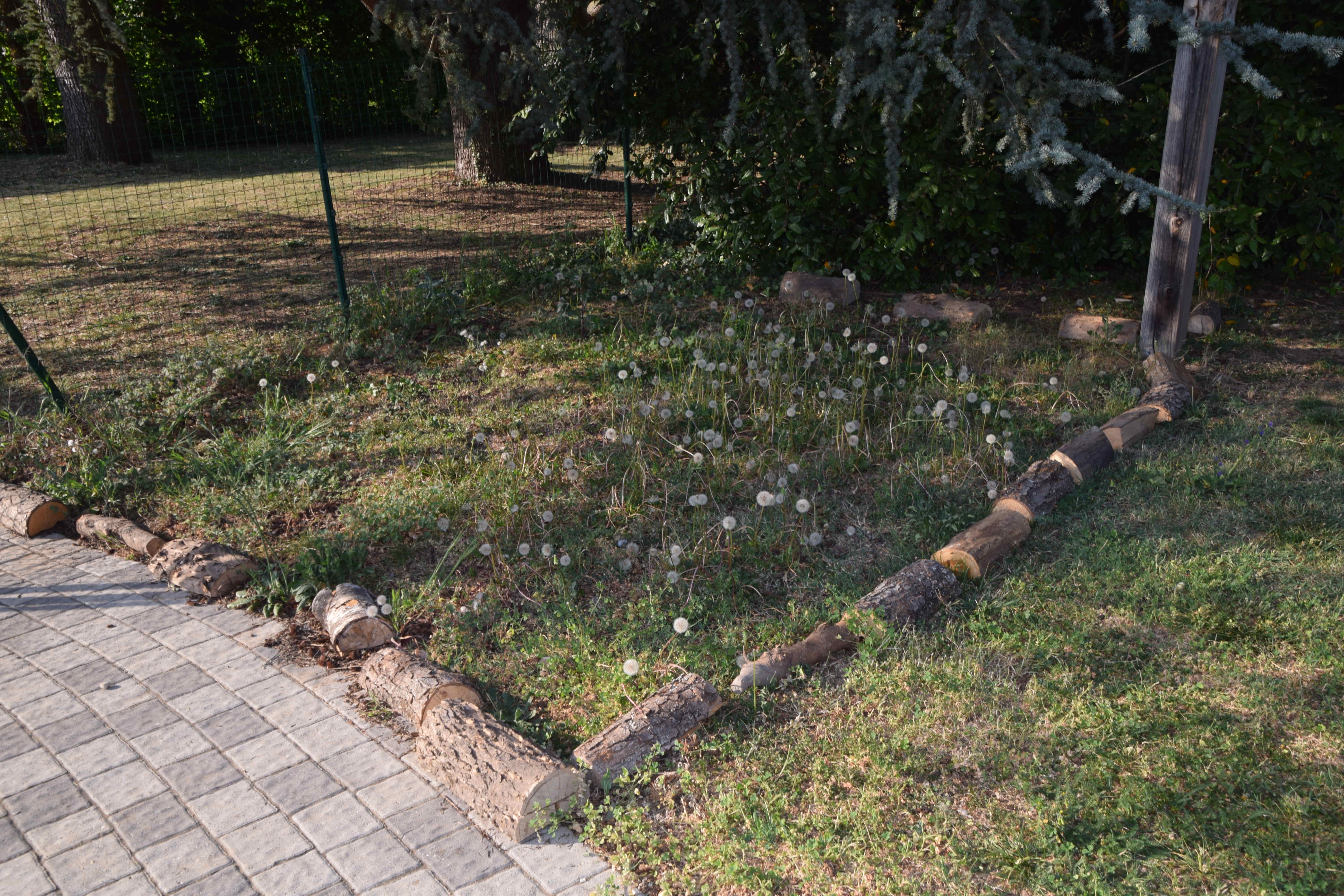 Carré de biodiversité : zone préservée où la tonte n'est pas réalisée (délimitation par rondins de bois morts pour favoriser également la présence d'arthropodes)