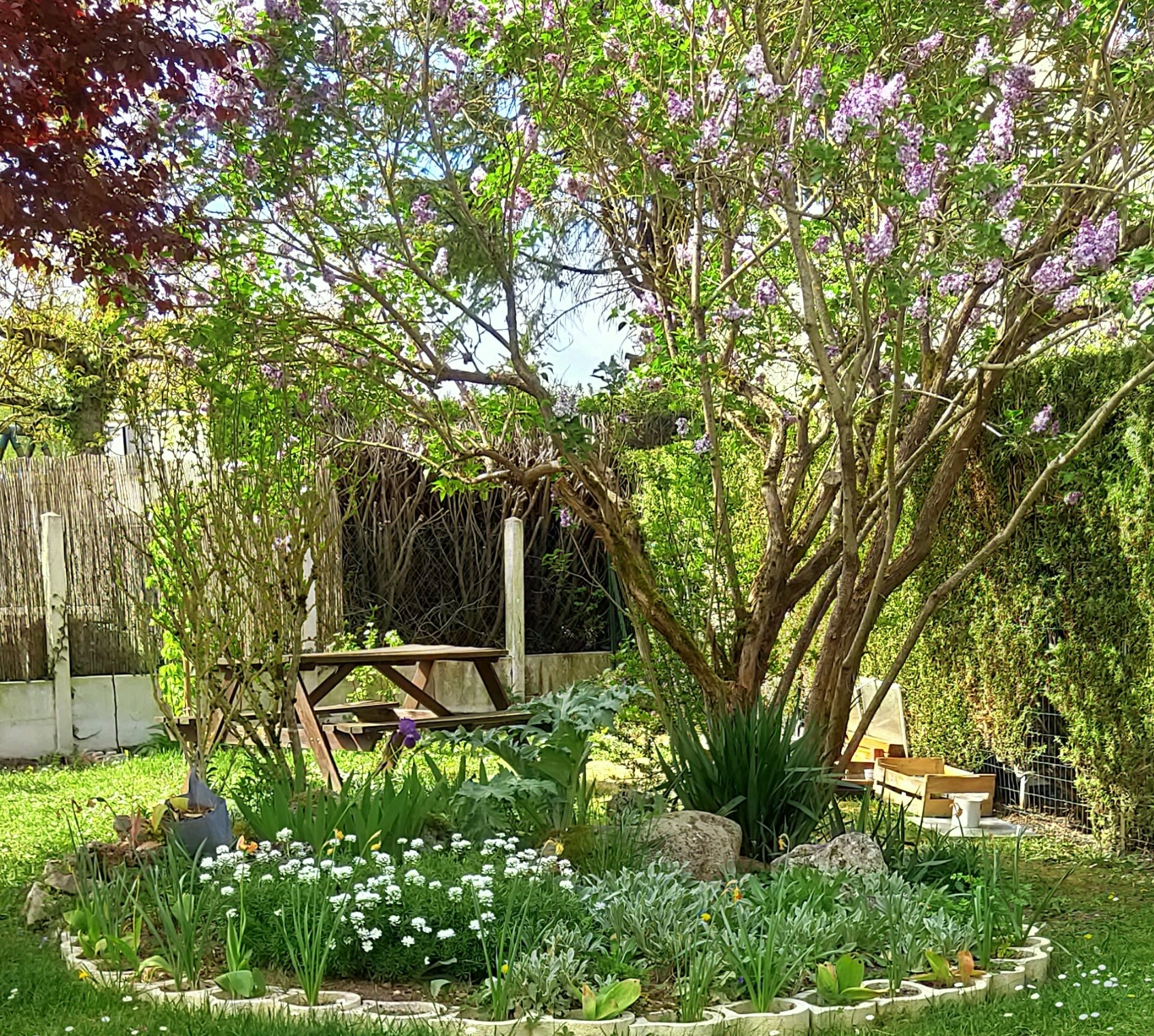 biodiversité dans un jardin