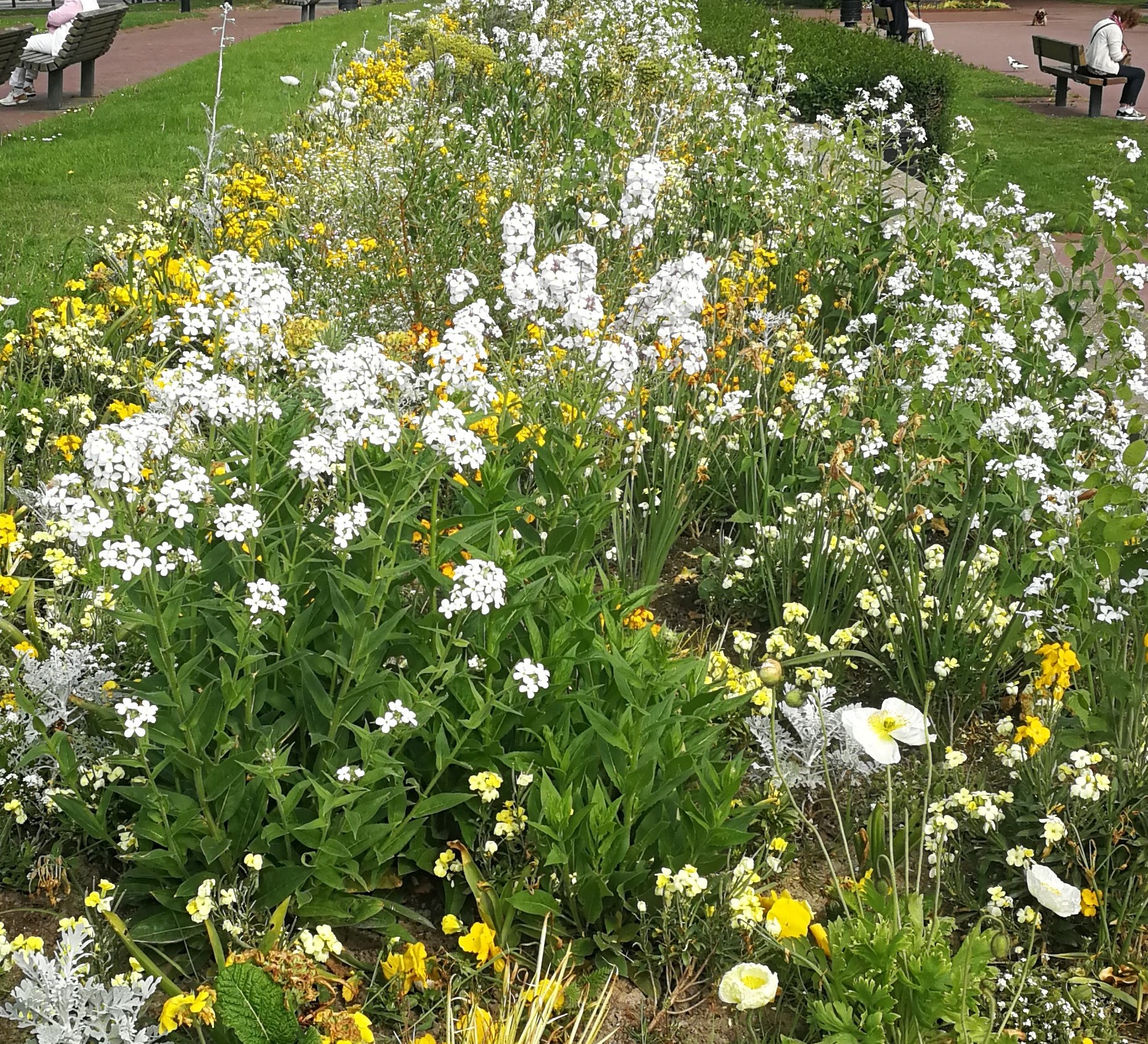 Biodiversité en ville