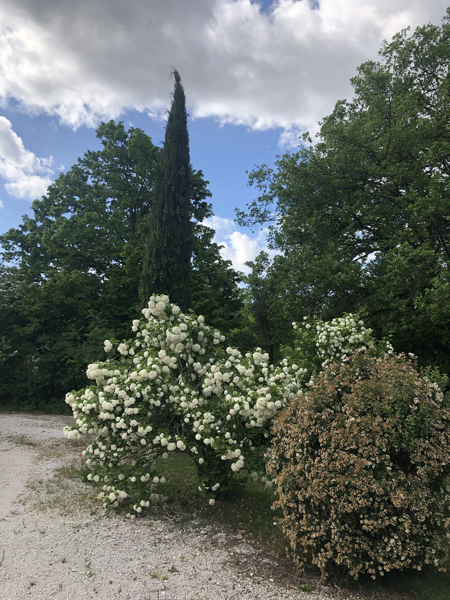 Jardin aix en provence