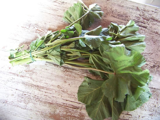 Annexe mauves-khobize.jpg