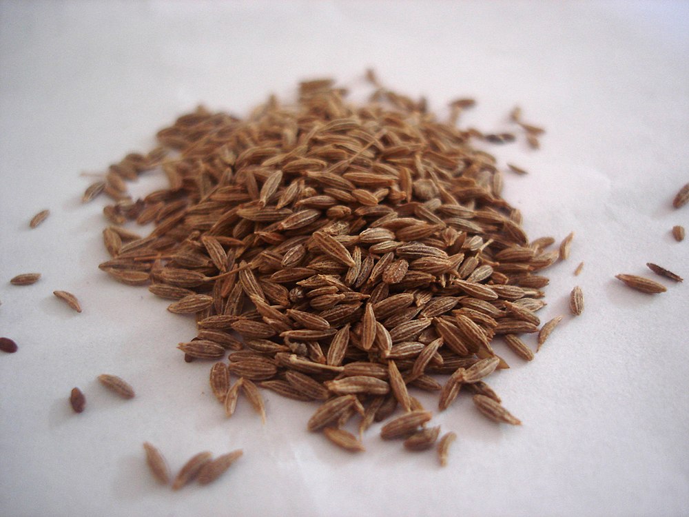 Annexe Cumin Seeds.jpg