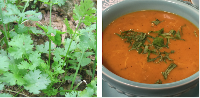 Annexe Capture d’écran 2020-04-01 à 23.49.07.png