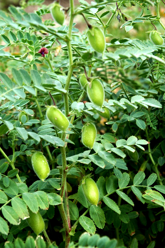 Annexe mainImage-source-11531828.jpg