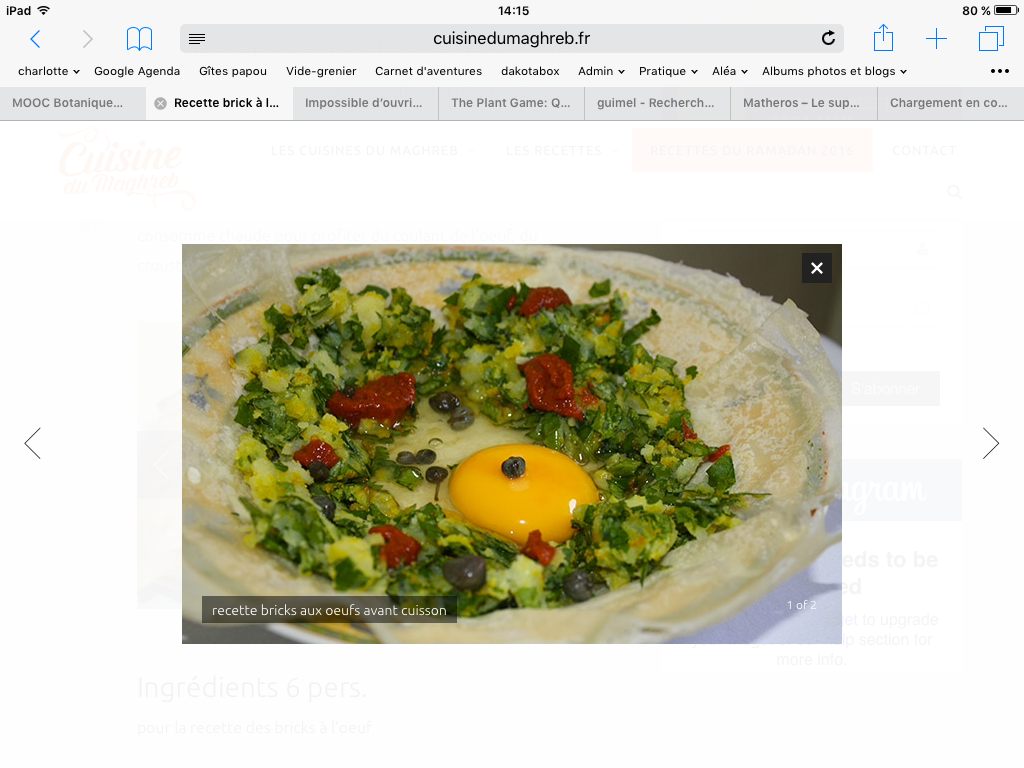 Annexe Brique a lœuf .png