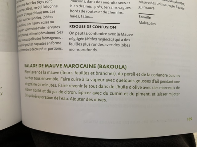 Annexe 3A5F5C0D-72C3-4612-A35C-51BC6D3BF4A5.jpeg