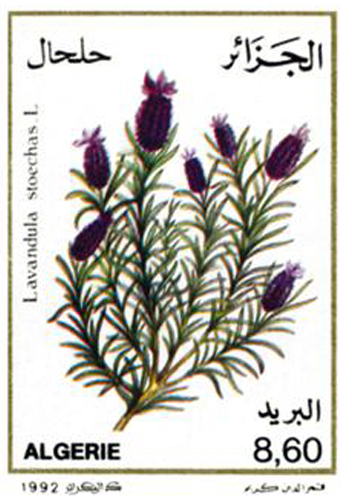 Annexe 57bd6fdf0d745.jpg