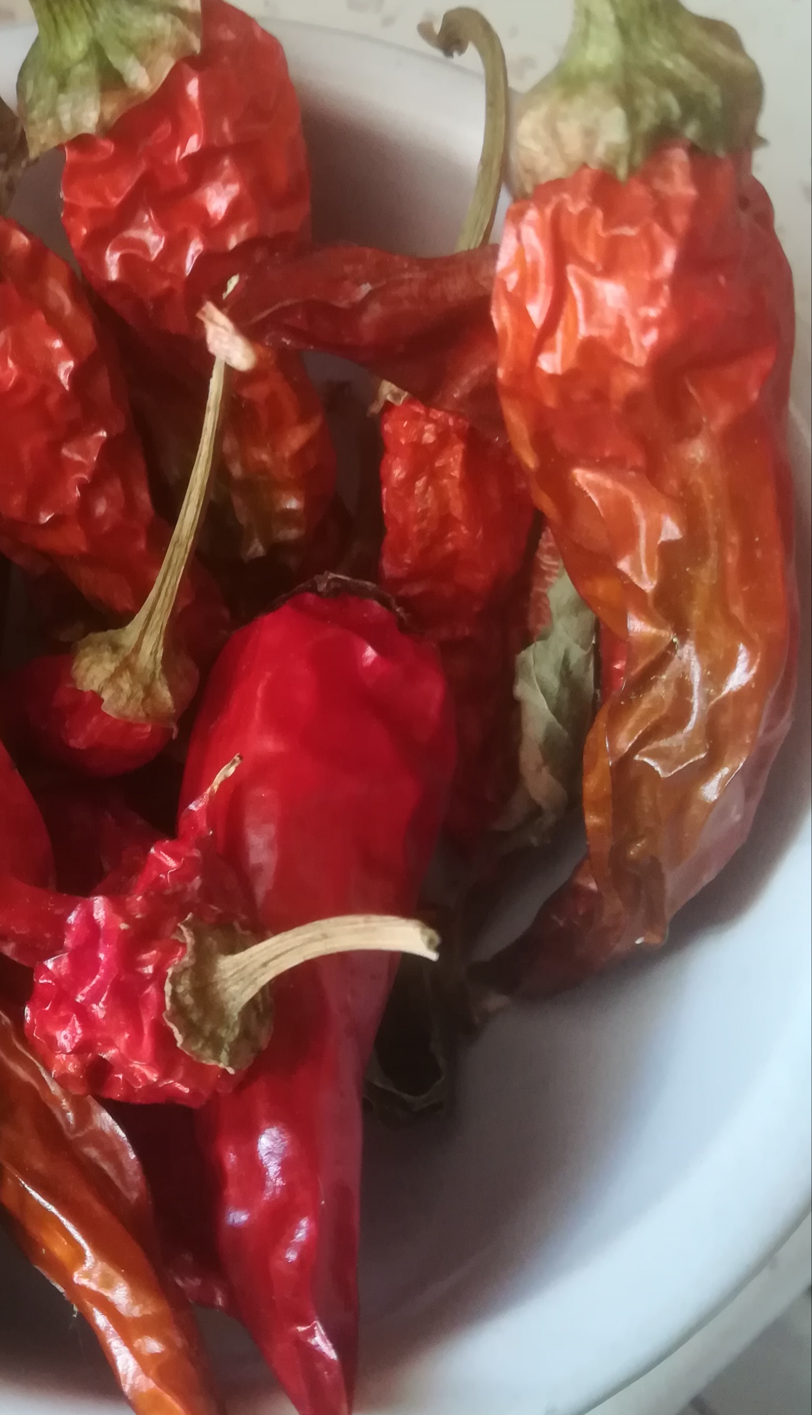 Annexe IMG_20200417_172955.jpg