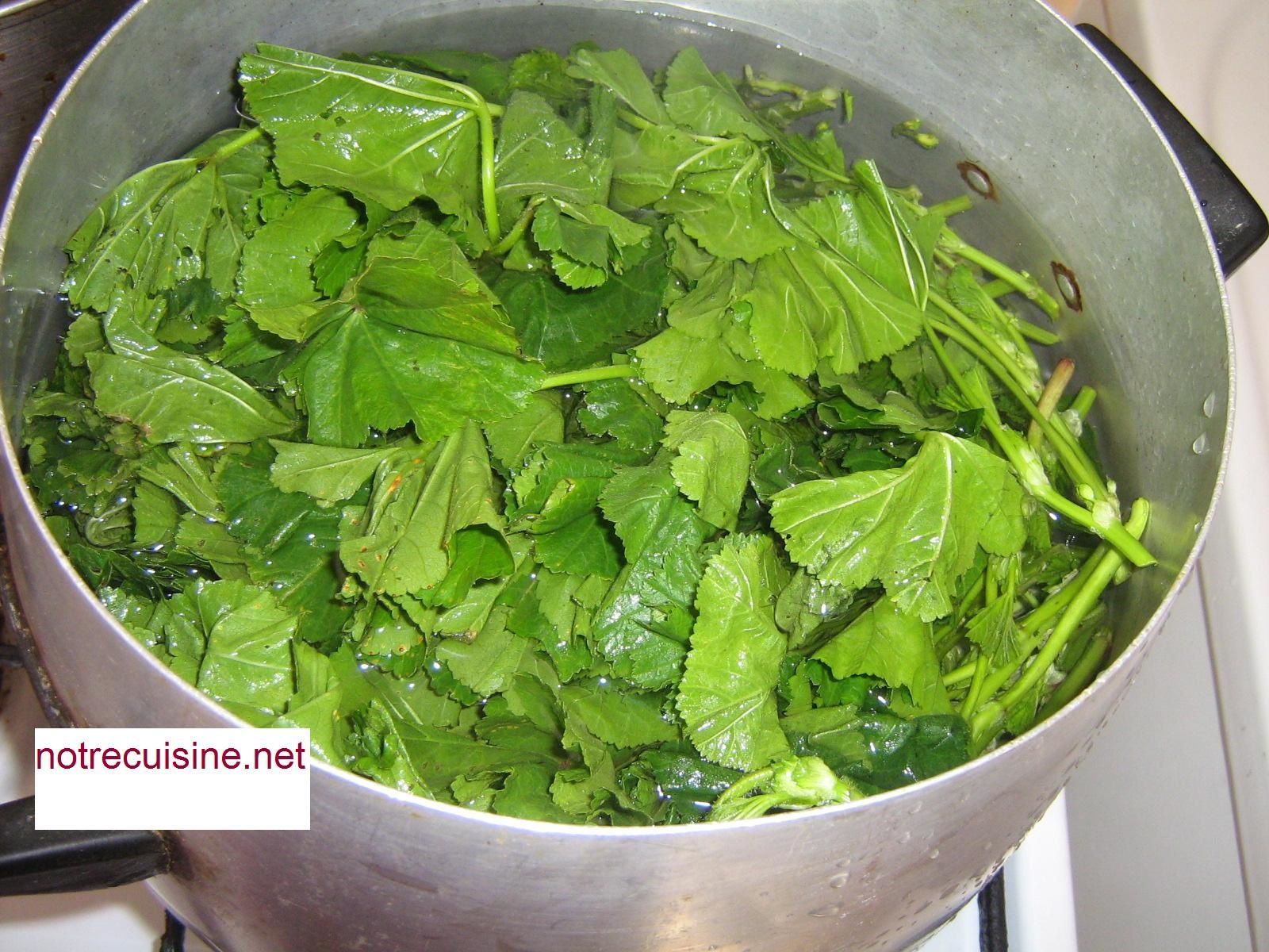 feuilles de mauves dans un récipient