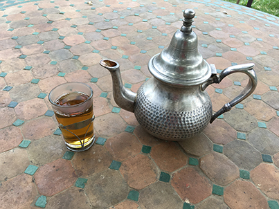 jeunes menthes au printemps