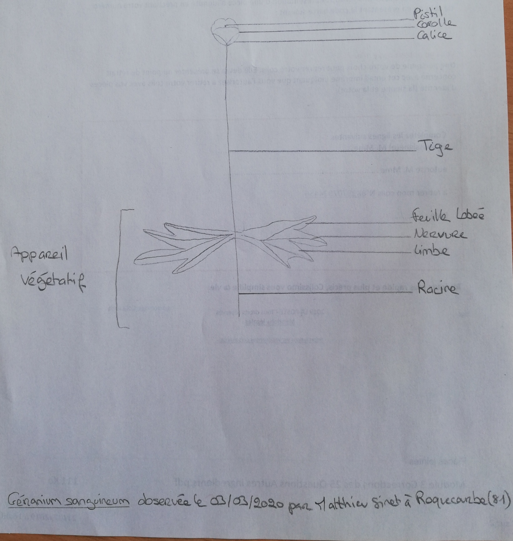 Annexe 2020-04-02.jpg