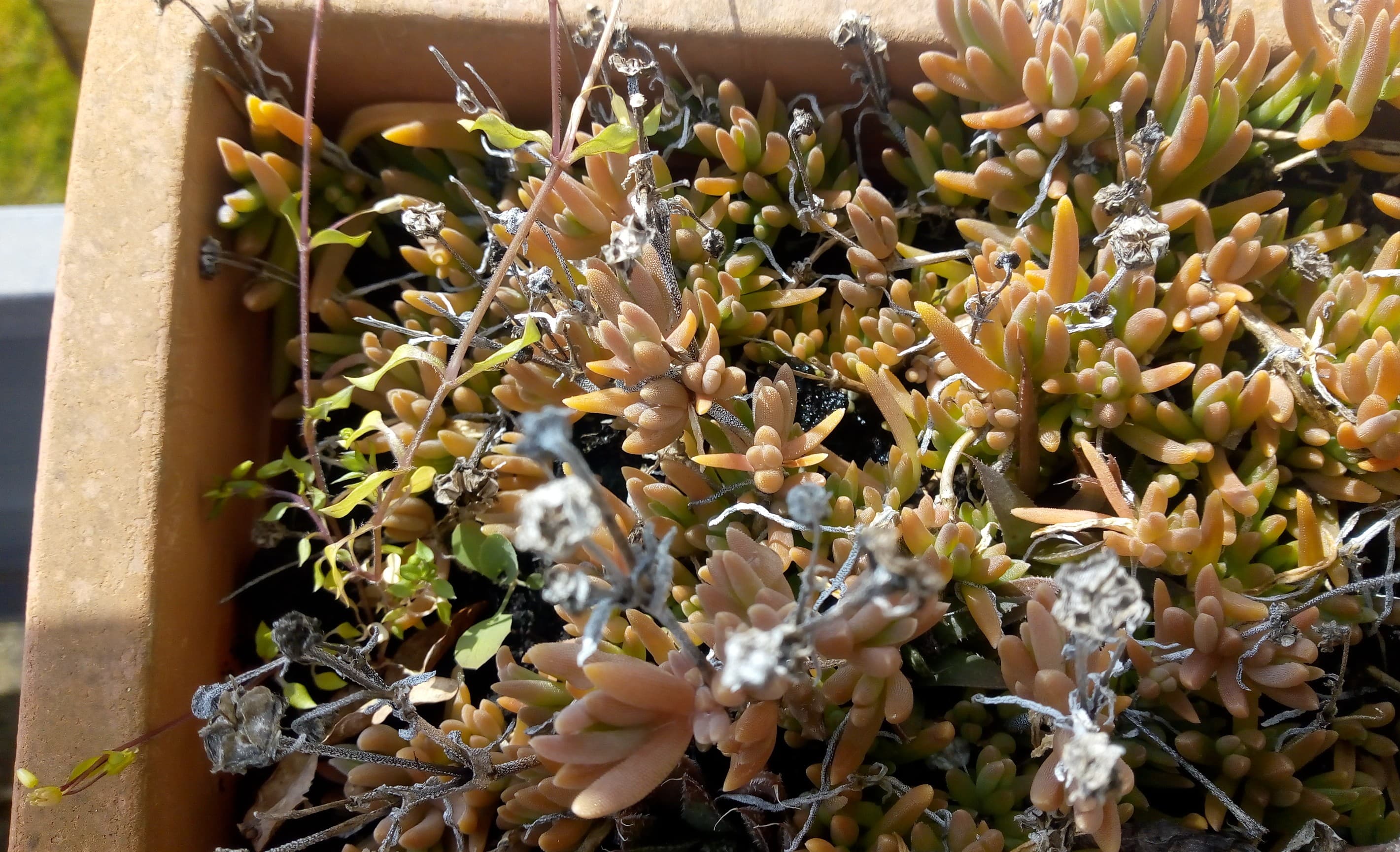 Annexe Contexte découverte.jpg