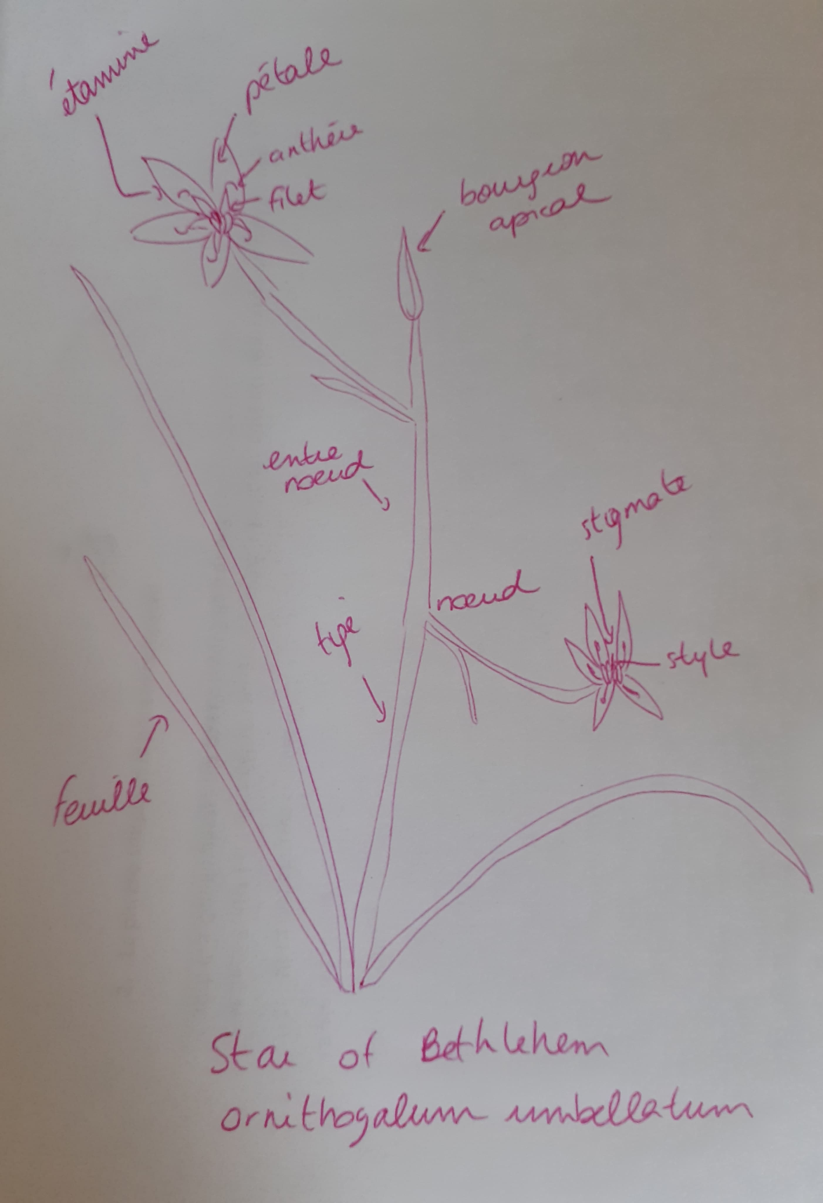 Annexe 91529741_242600747143146_8998774483116359680_n.jpg