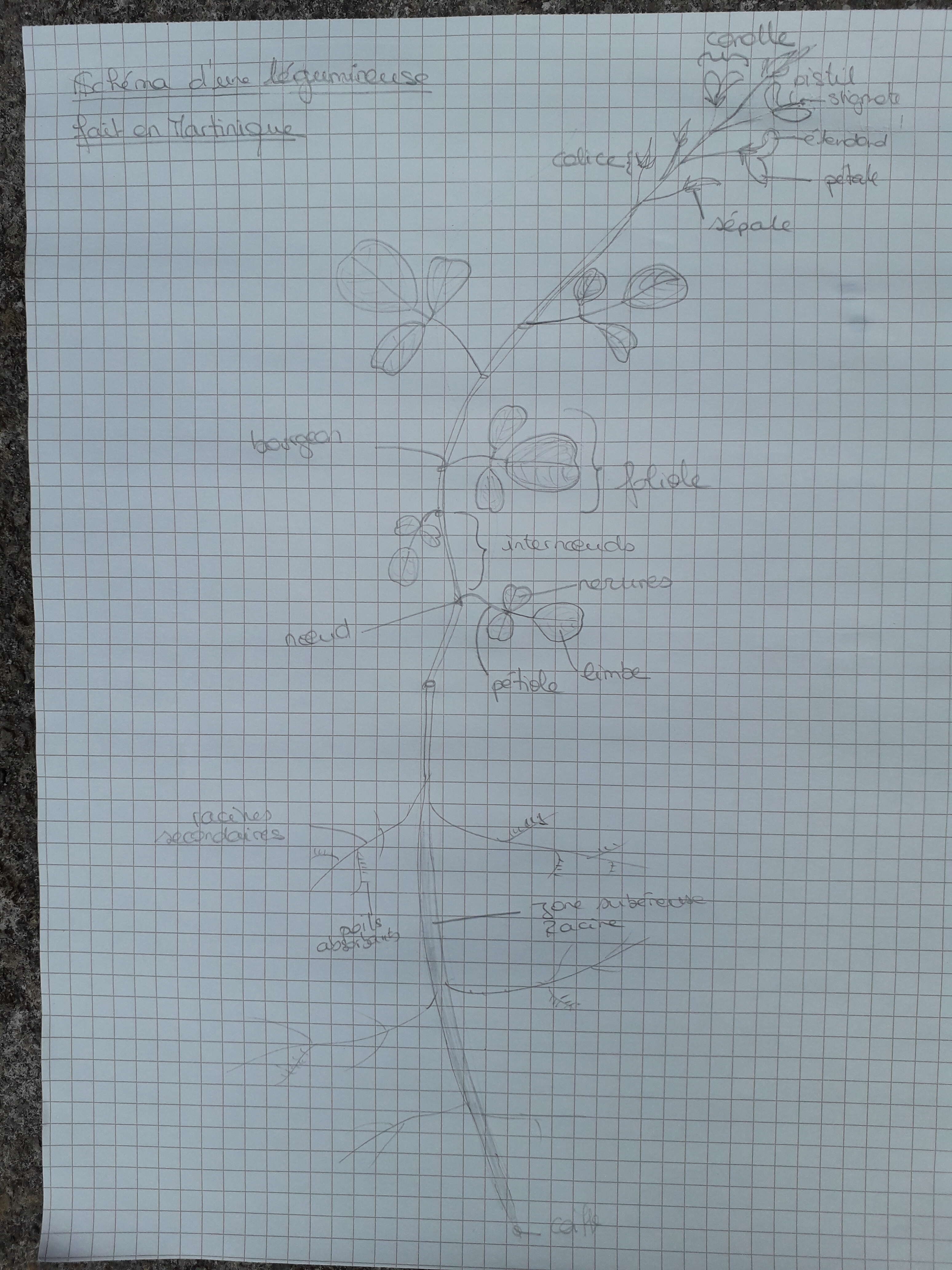 Annexe 20200402_103243 (2).jpg