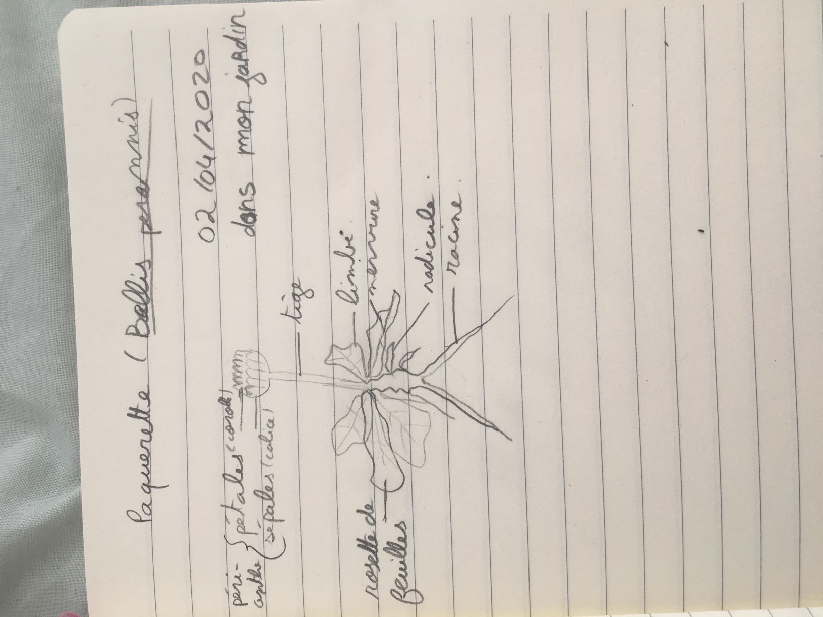 Annexe IMG-1906n.JPG