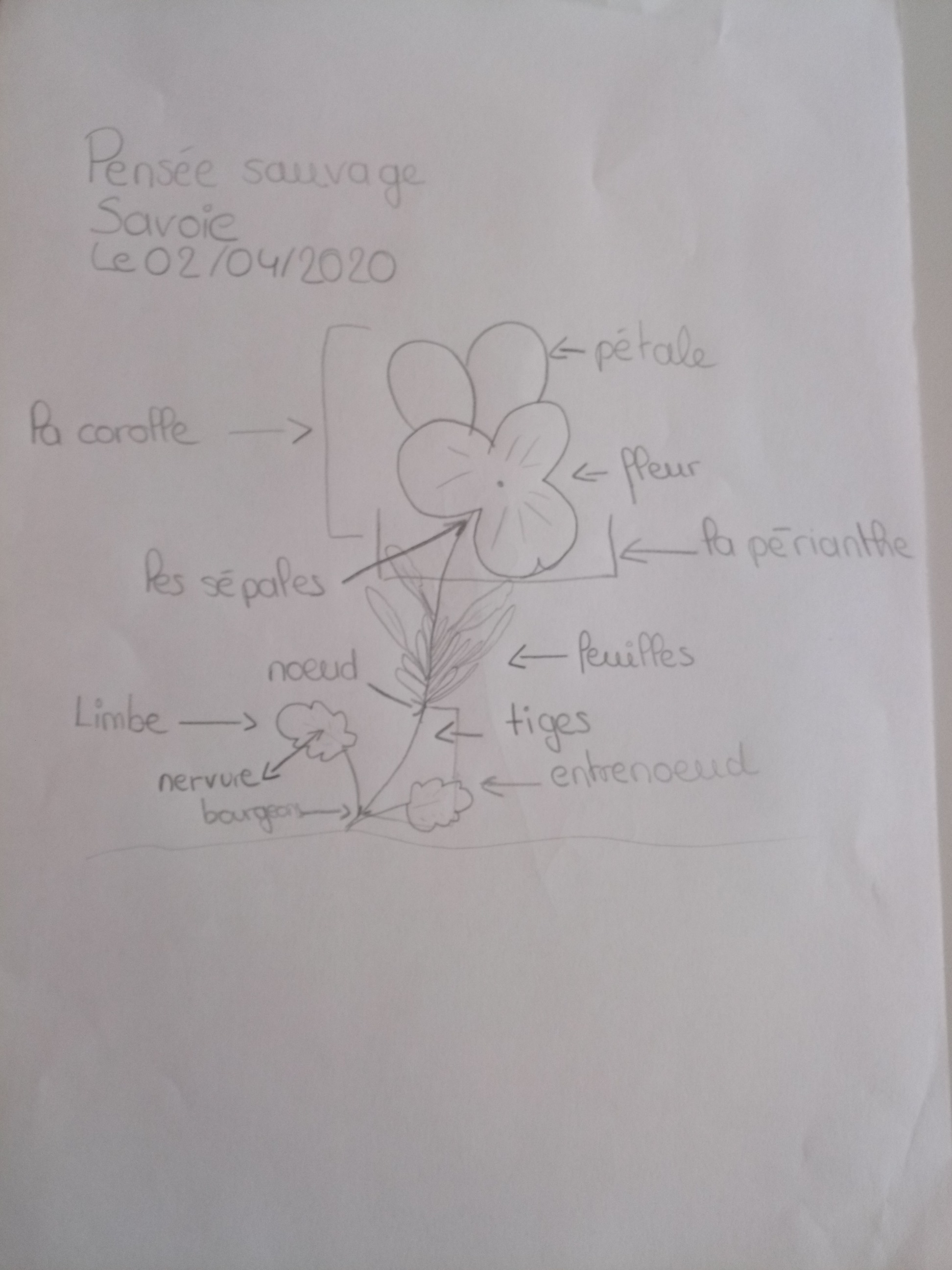 Annexe 1B3636D1-9675-48F5-8D09-6E58FD81048B.jpeg