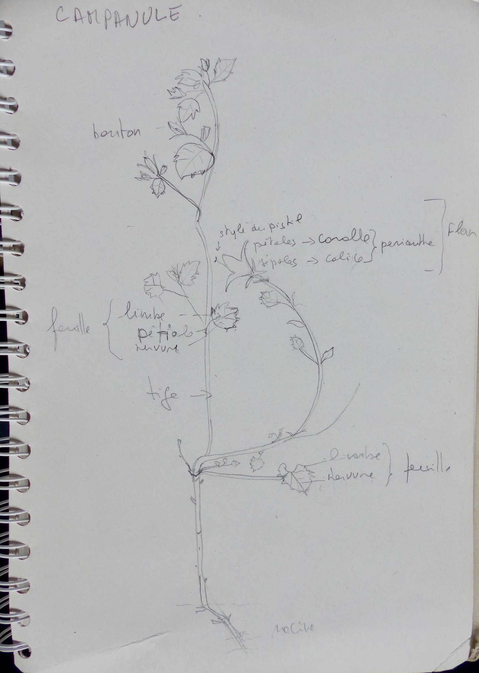 Annexe P1040494.jpeg