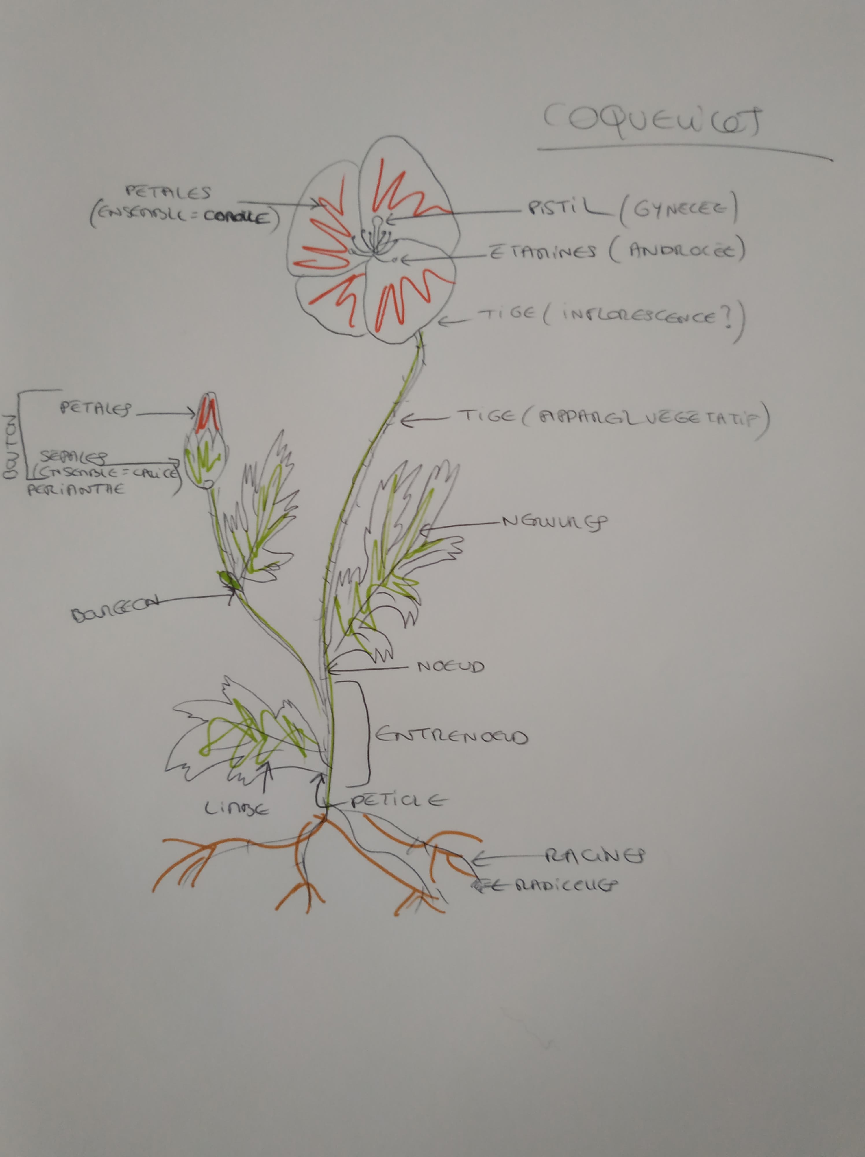 Annexe 91909040_862825220901340_7932132523524489216_n.jpg