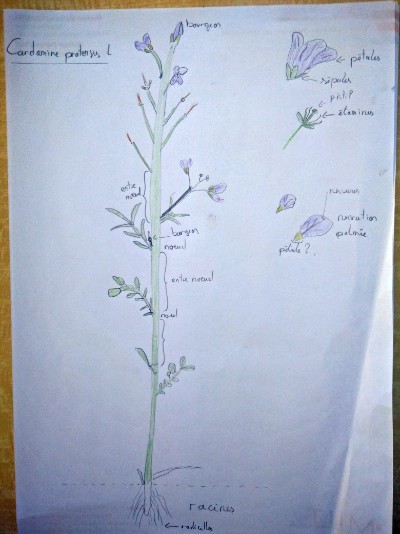 Annexe IMG_20200403_103832.jpg