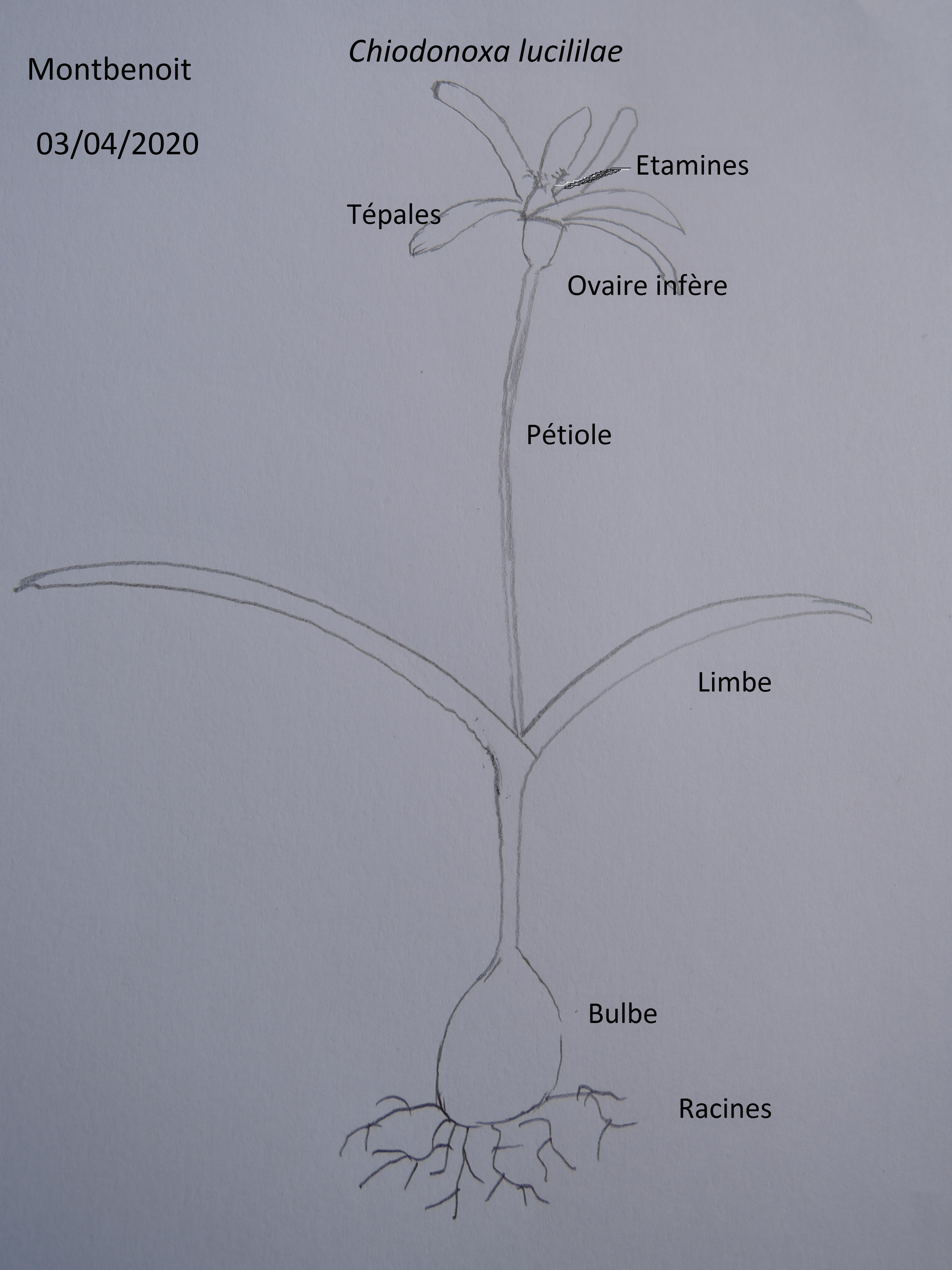 Annexe DSCN9742_fc.jpg