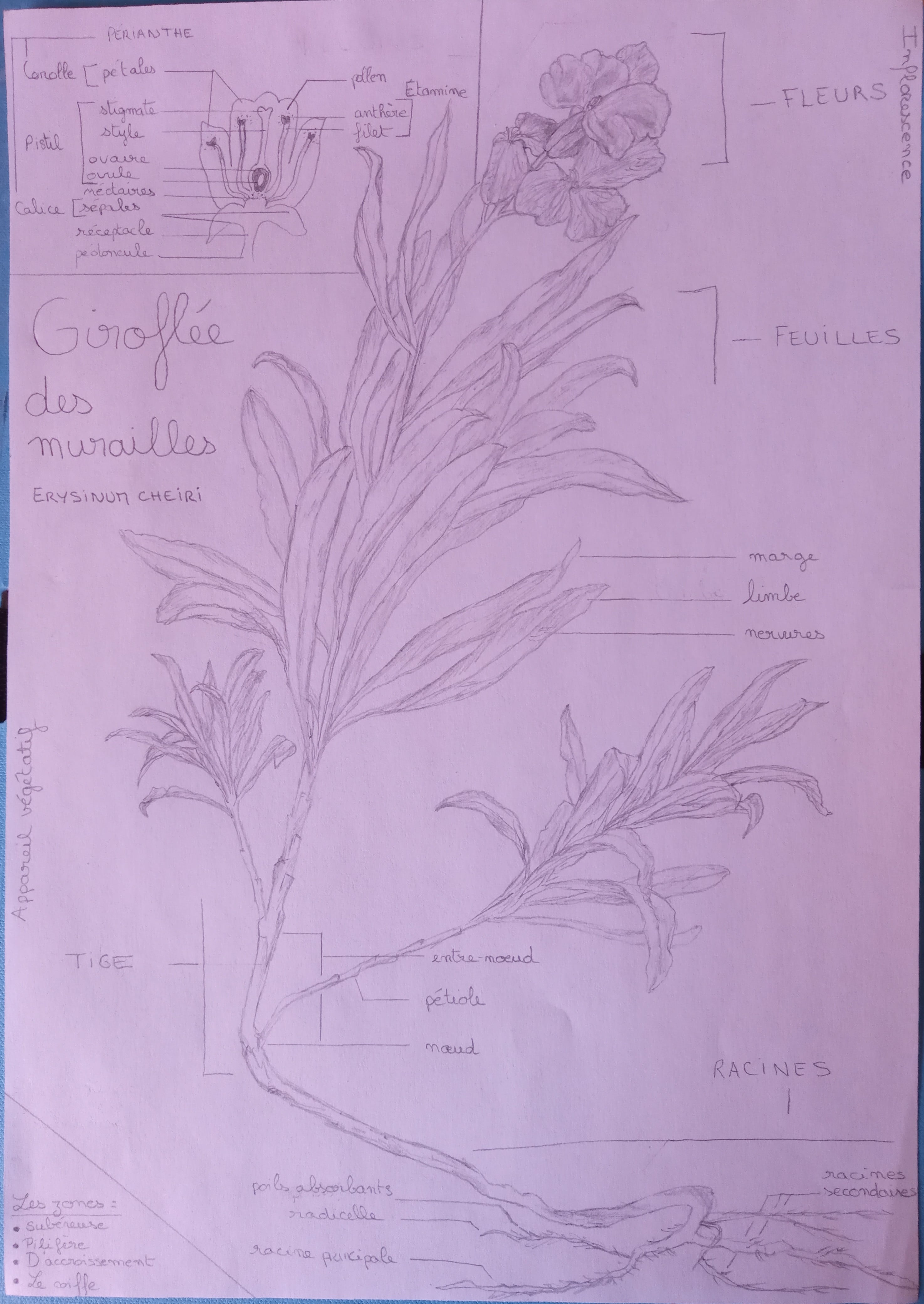 Annexe IMG_20200403_124817_2-min.jpg