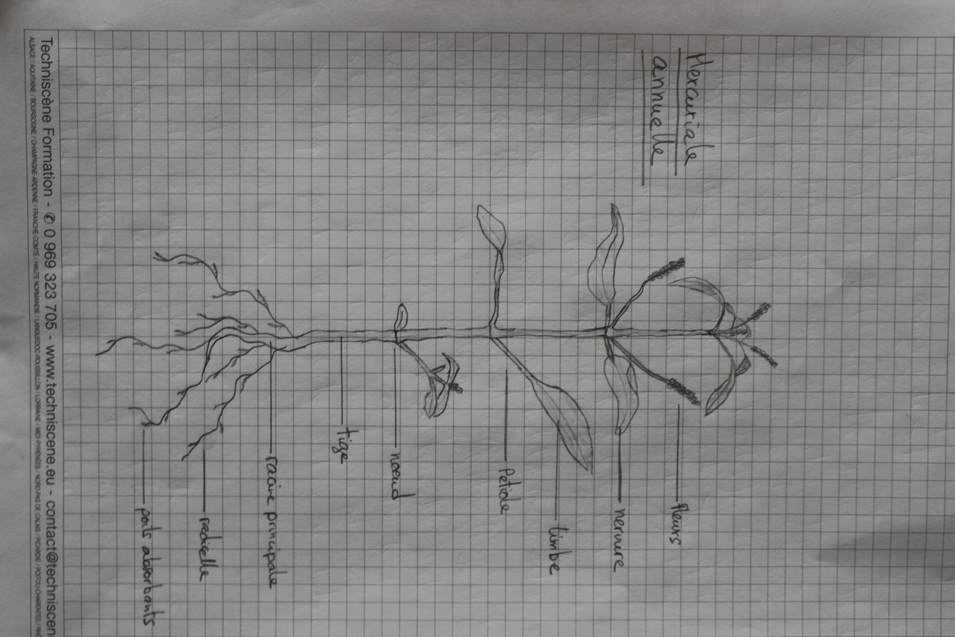 Annexe IMG_0437-ConvertImage.jpg