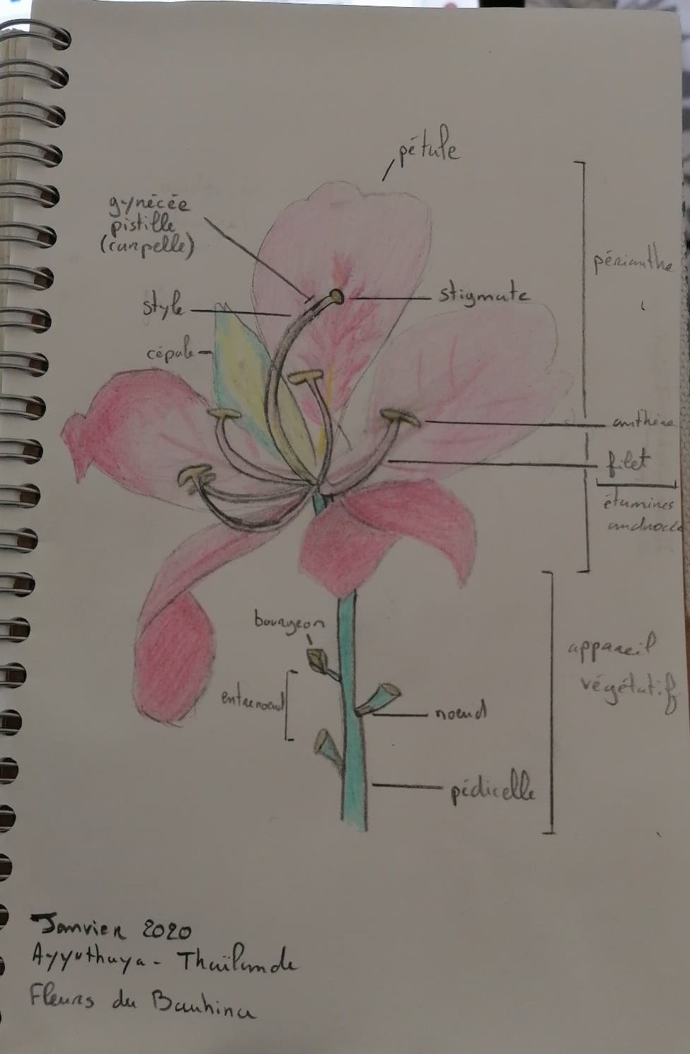 Annexe 92183185_267803497570892_4737188055192961024_n.jpg