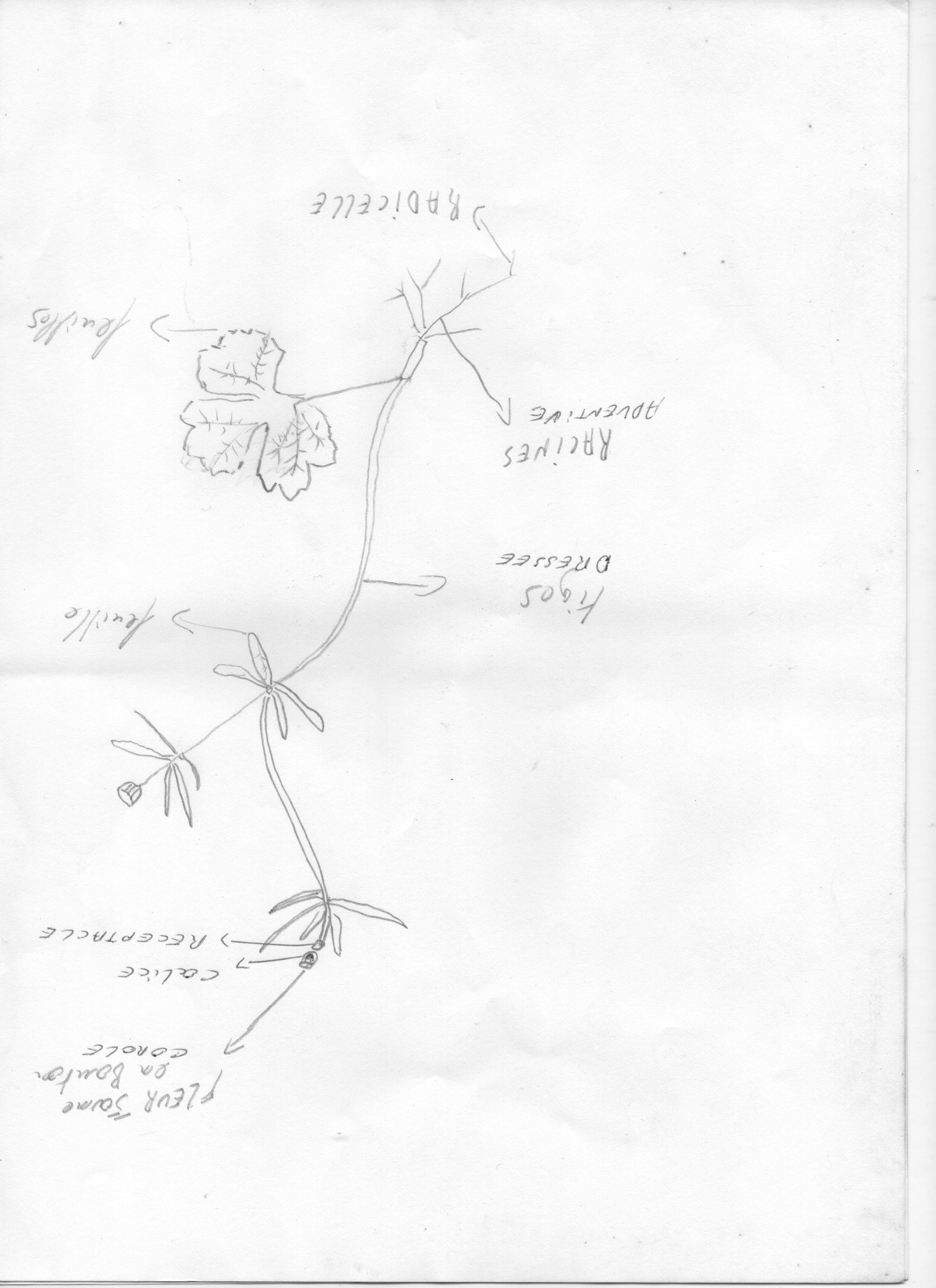 Annexe Image (12).jpg