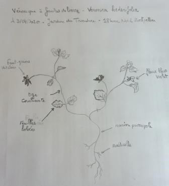 Annexe IMG_20200403_163513.jpg