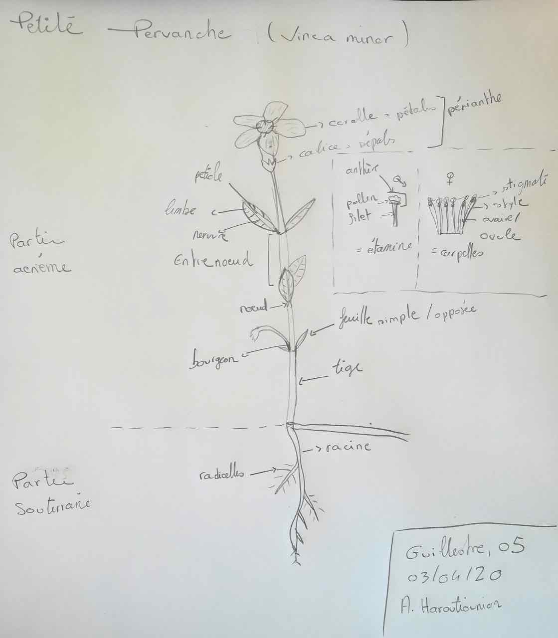 Annexe 92302548_296506334651310_7039009901275774976_n (1).jpg