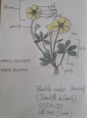 Annexe dessin_mooc2.jpg